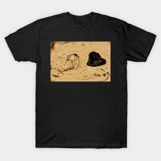 The Bull Ant & the Stone T-Shirt